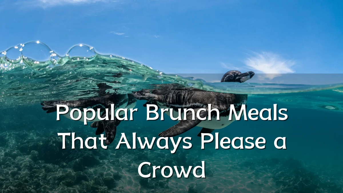 Popular Brunch Meals That Always Please a Crowd
