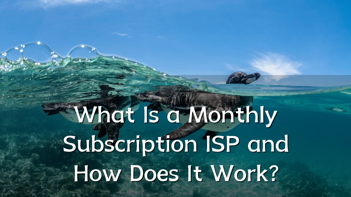 What Is a Monthly Subscription ISP and How Does It Work?