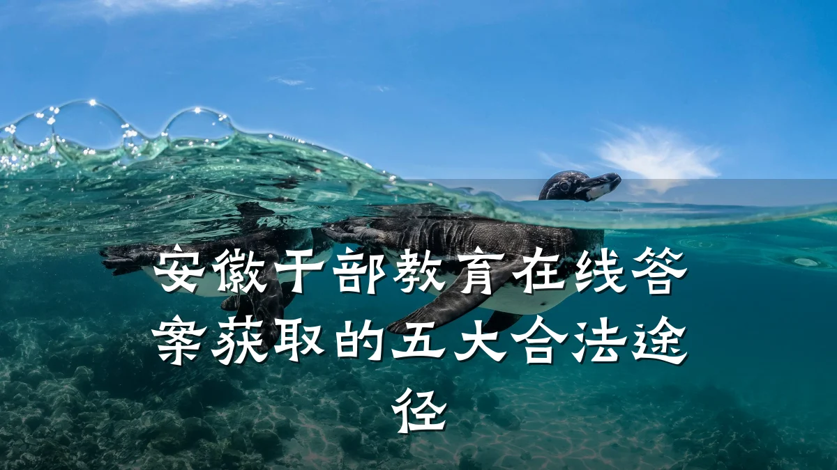 安徽干部教育在线答案获取的五大合法途径