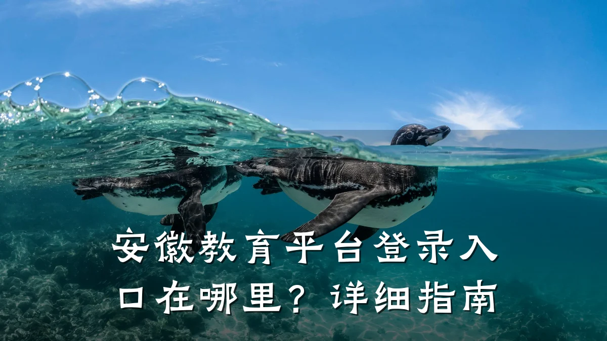 安徽教育平台登录入口在哪里？详细指南