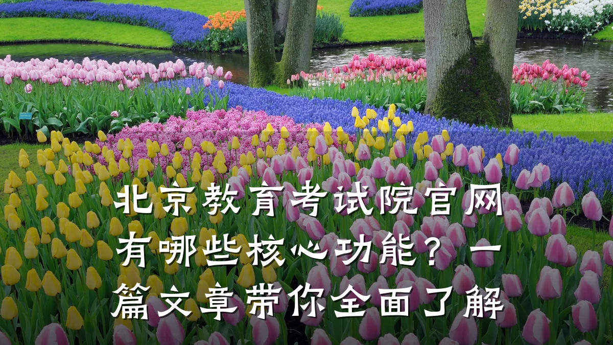北京教育考试院官网有哪些核心功能？一篇文章带你全面了解