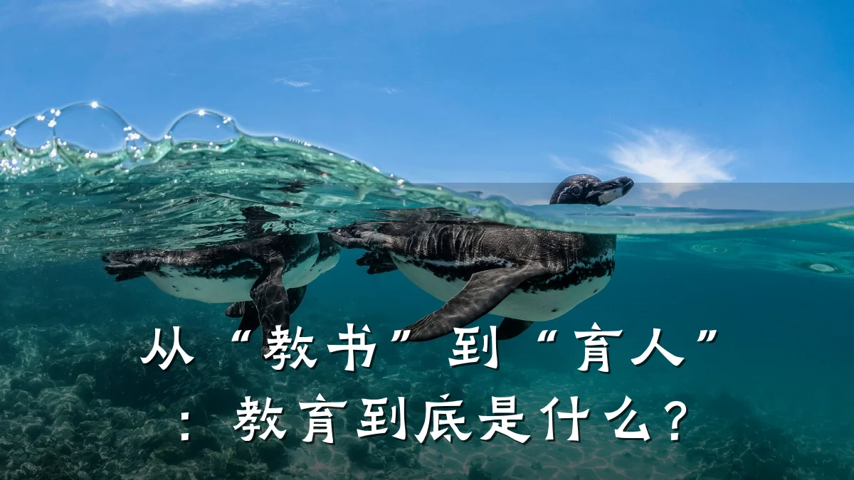 从“教书”到“育人”：教育到底是什么？