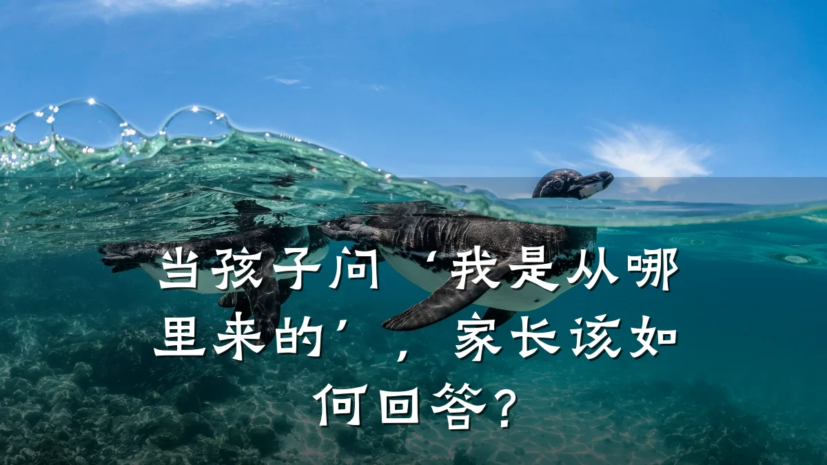当孩子问‘我是从哪里来的’，家长该如何回答？