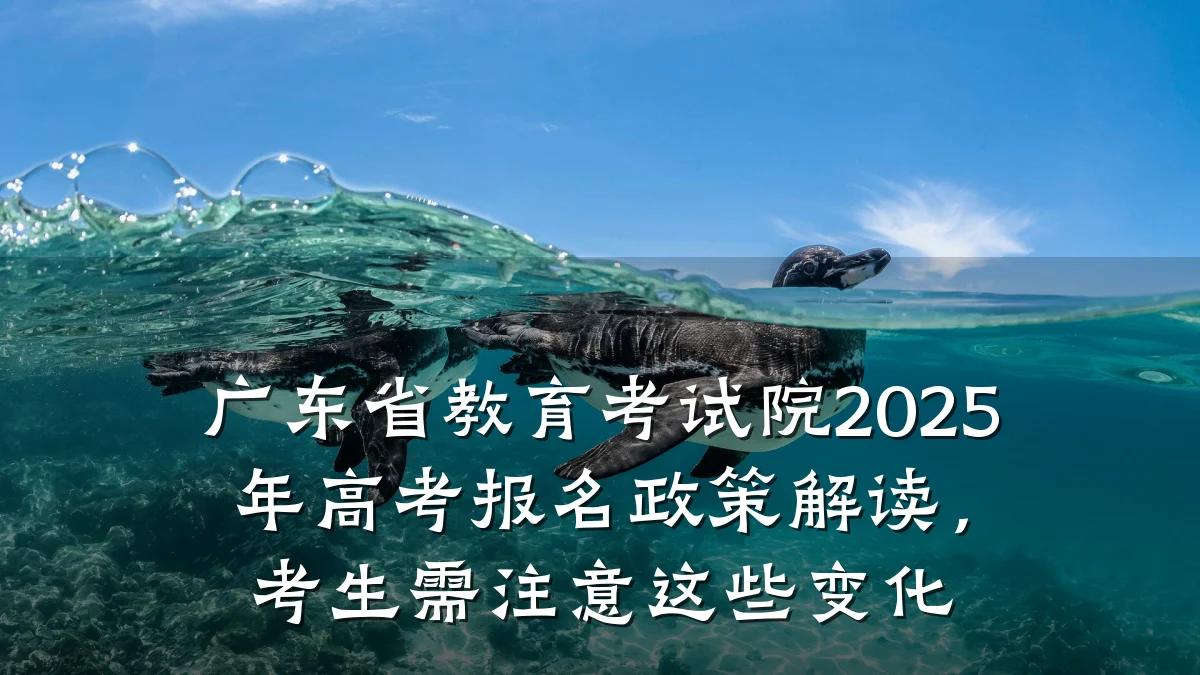 广东省教育考试院2025年高考报名政策解读，考生需注意这些变化