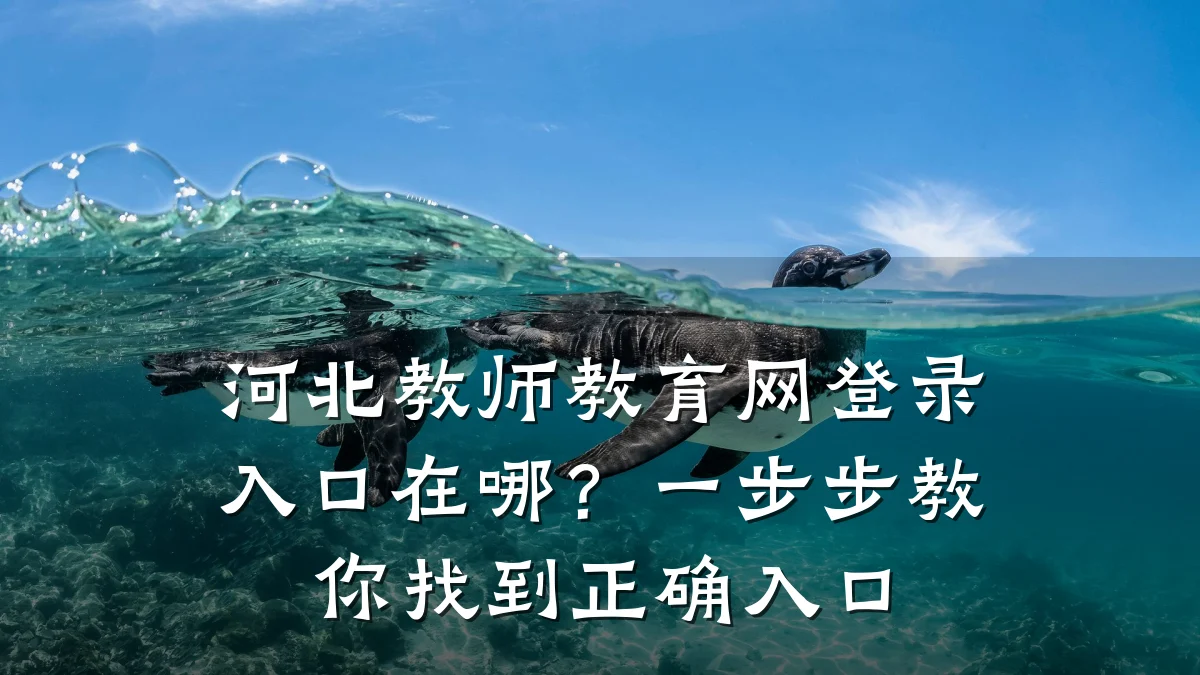 河北教师教育网登录入口在哪？一步步教你找到正确入口