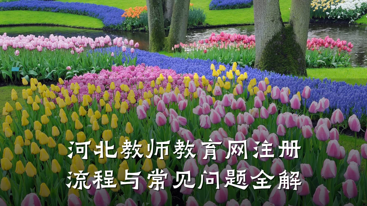 河北教师教育网注册流程与常见问题全解