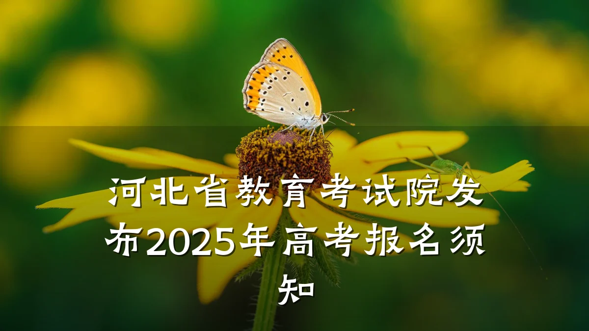 河北省教育考试院发布2025年高考报名须知