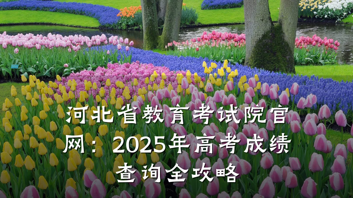 河北省教育考试院官网：2025年高考成绩查询全攻略