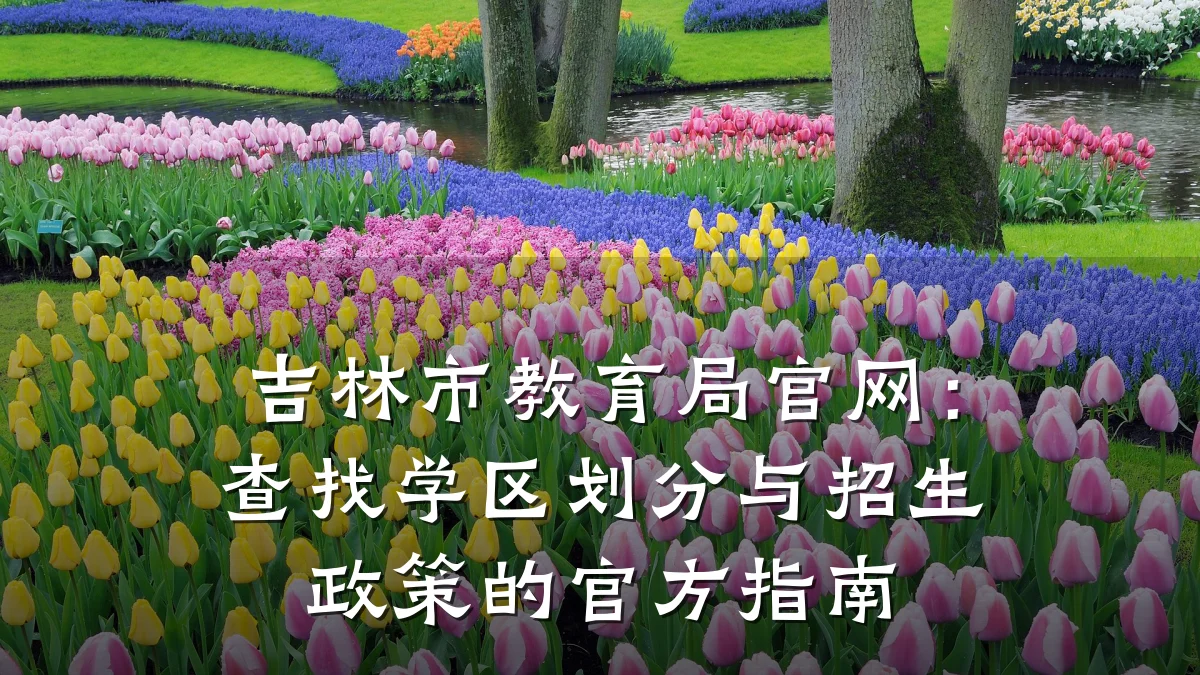 吉林市教育局官网：查找学区划分与招生政策的官方指南
