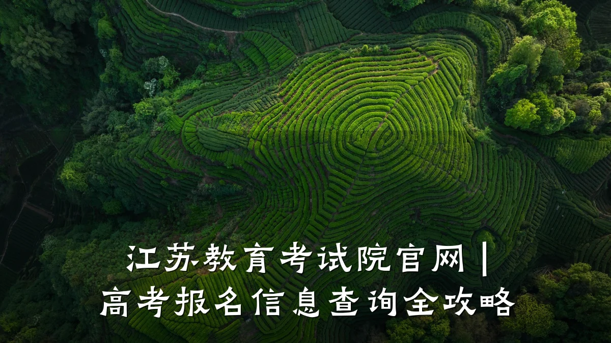 江苏教育考试院官网 | 高考报名信息查询全攻略