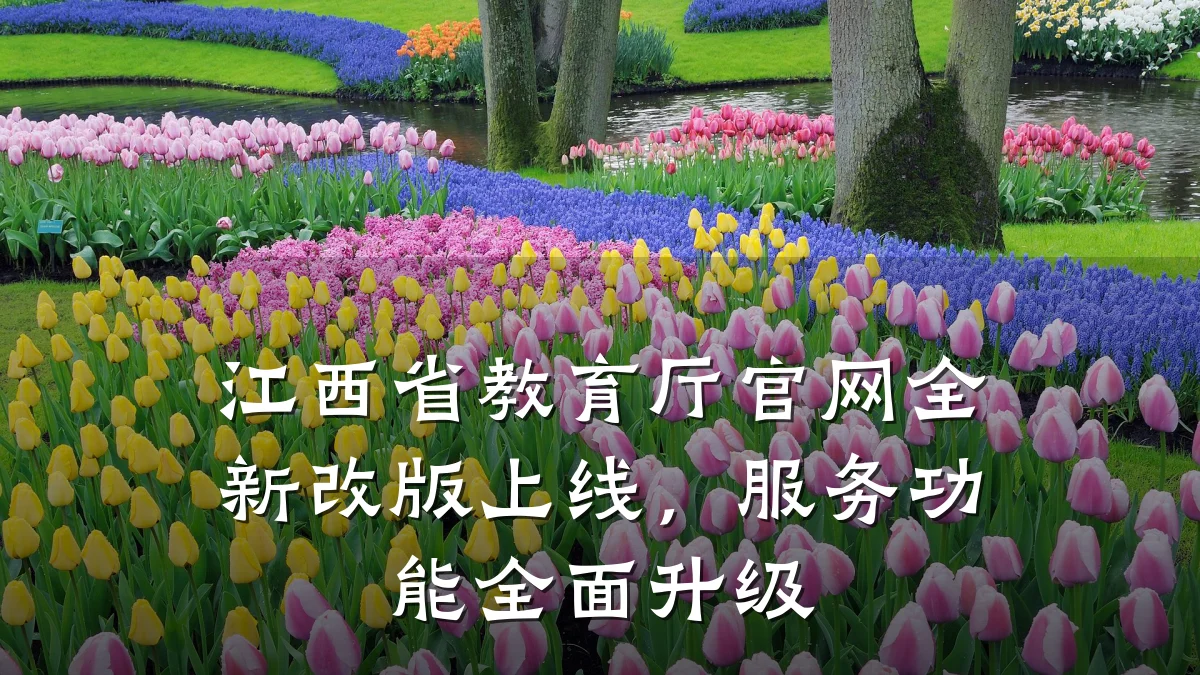江西省教育厅官网全新改版上线，服务功能全面升级