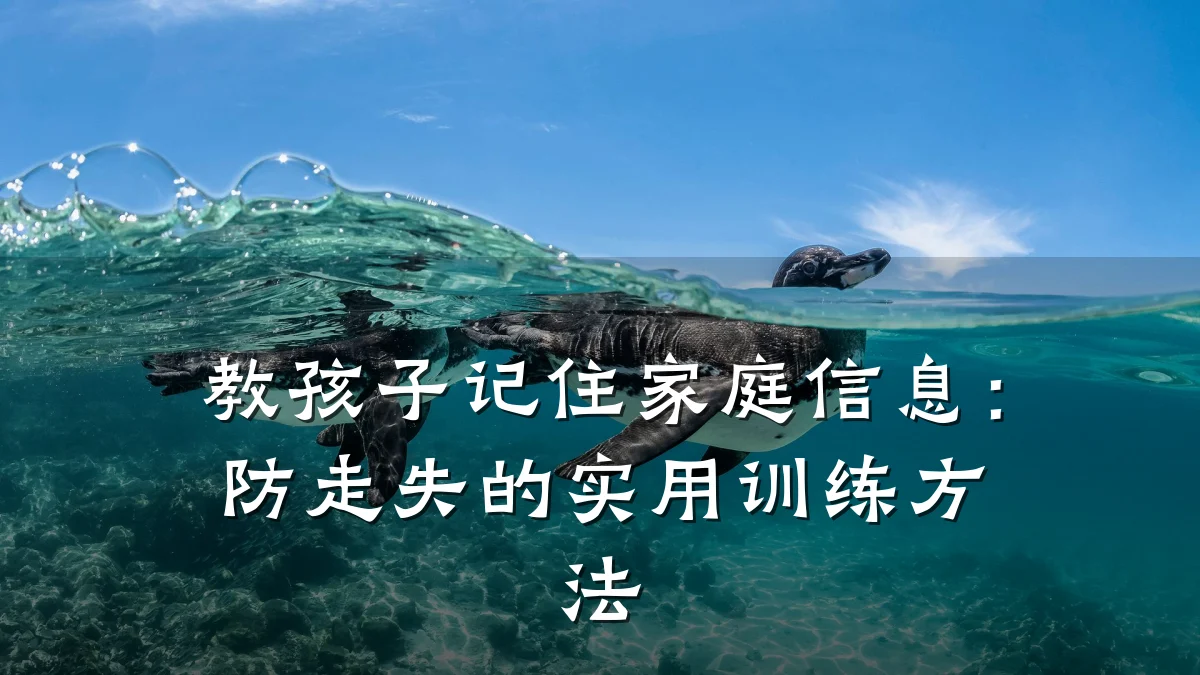 教孩子记住家庭信息：防走失的实用训练方法