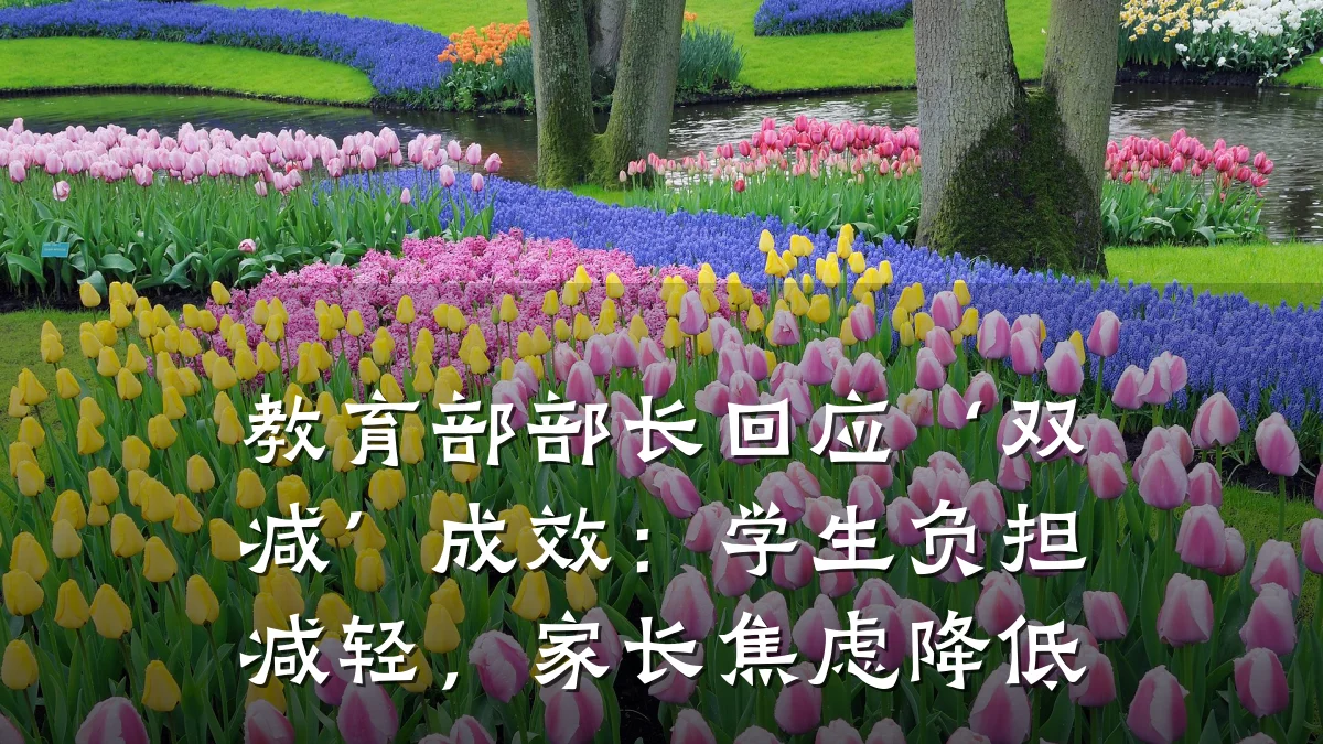 教育部部长回应‘双减’成效：学生负担减轻，家长焦虑降低