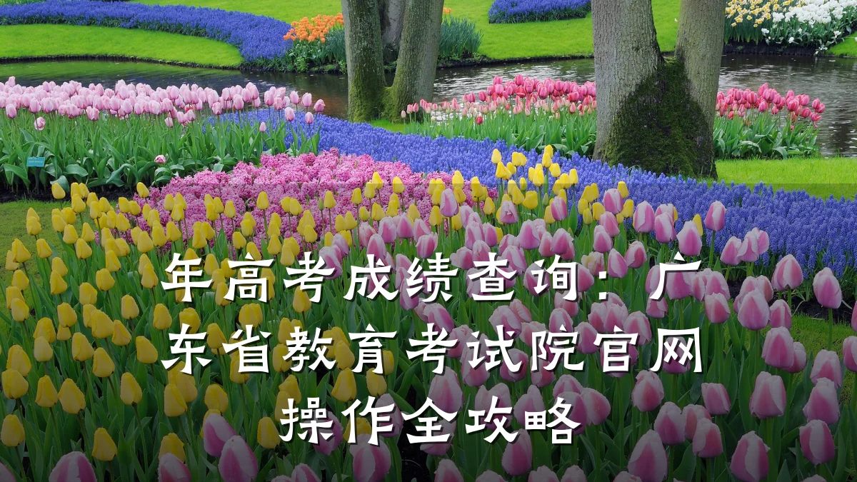 年高考成绩查询：广东省教育考试院官网操作全攻略