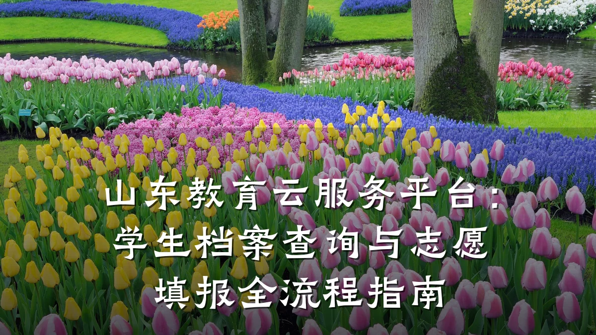 山东教育云服务平台：学生档案查询与志愿填报全流程指南