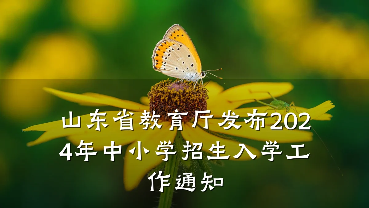 山东省教育厅发布2024年中小学招生入学工作通知