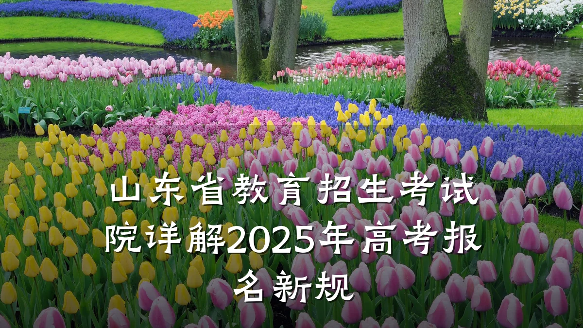 山东省教育招生考试院详解2025年高考报名新规