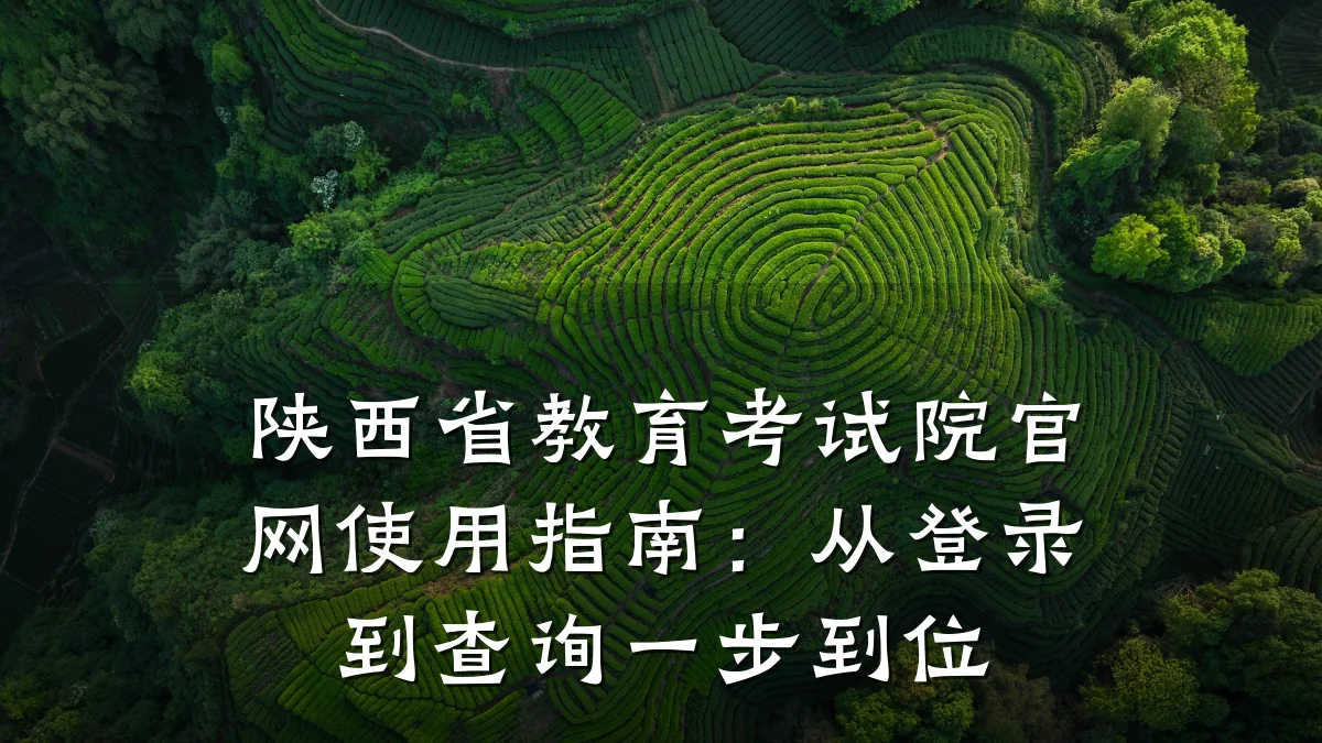 陕西省教育考试院官网使用指南：从登录到查询一步到位