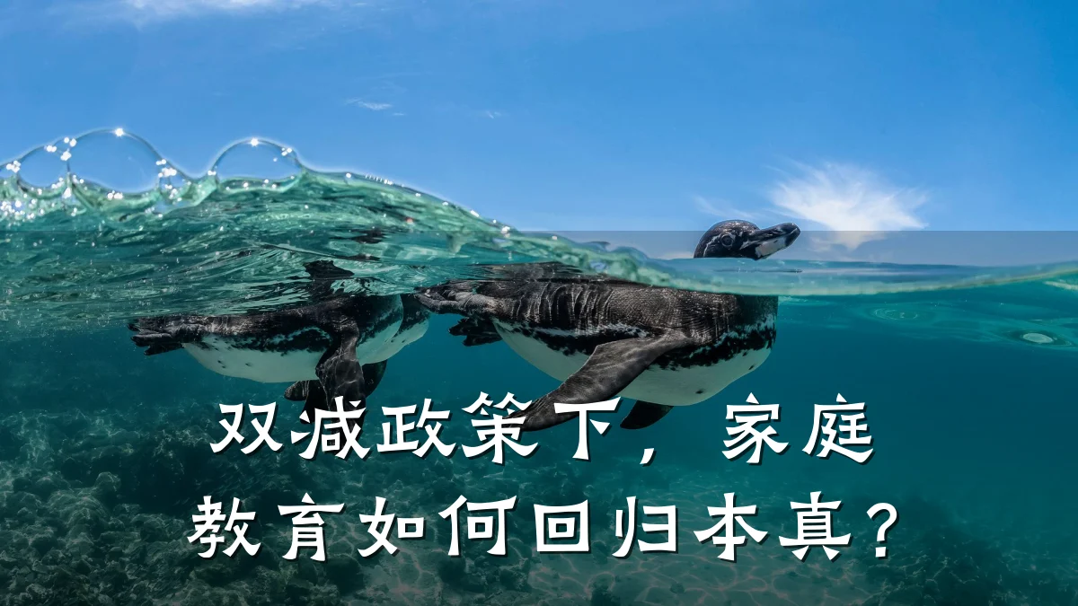 双减政策下，家庭教育如何回归本真？