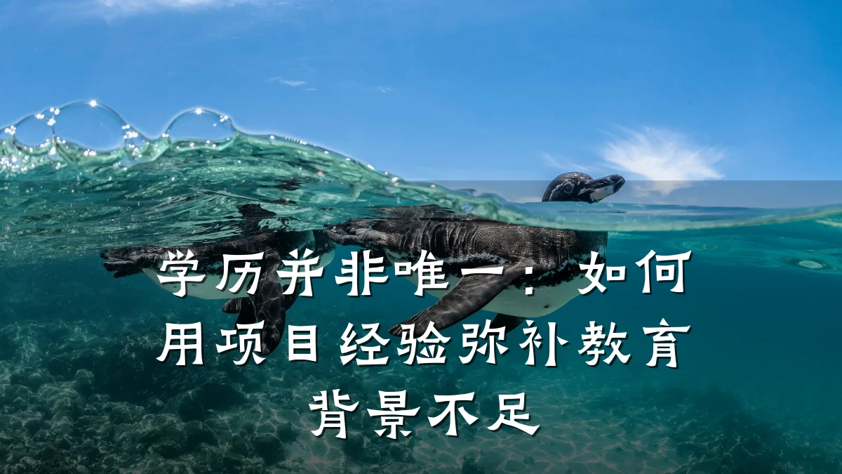学历并非唯一：如何用项目经验弥补教育背景不足