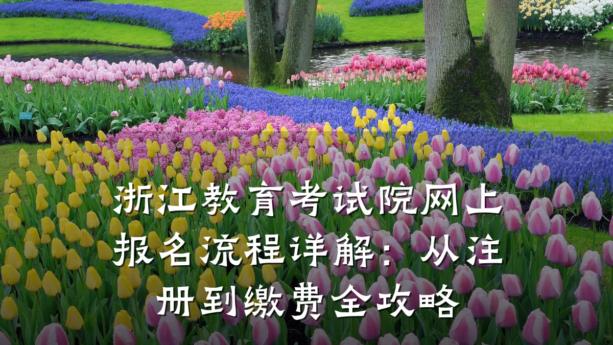 浙江教育考试院网上报名流程详解：从注册到缴费全攻略
