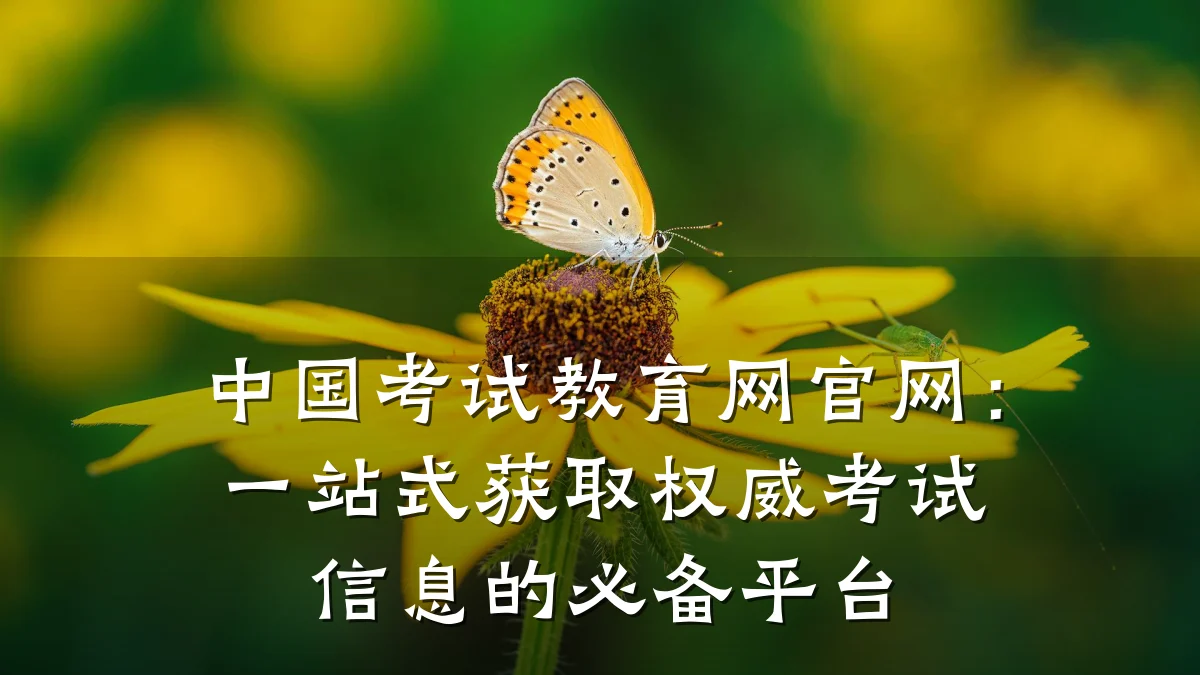 中国考试教育网官网：一站式获取权威考试信息的必备平台