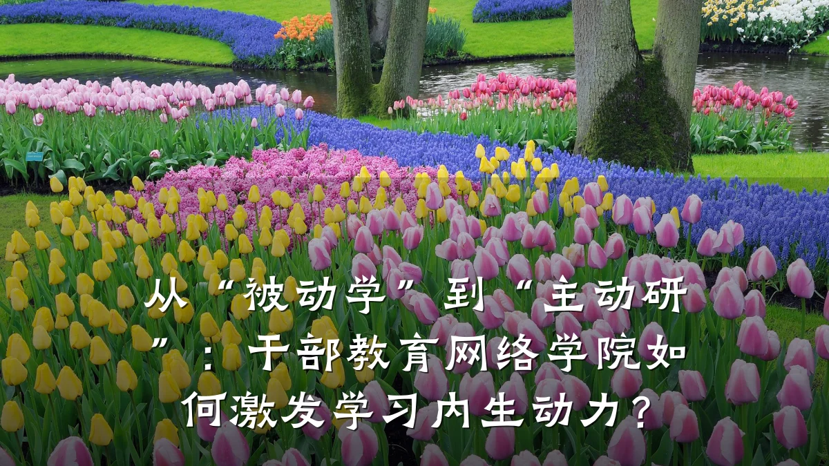 从“被动学”到“主动研”：干部教育网络学院如何激发学习内生动力？