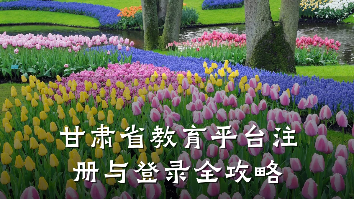 甘肃省教育平台注册与登录全攻略