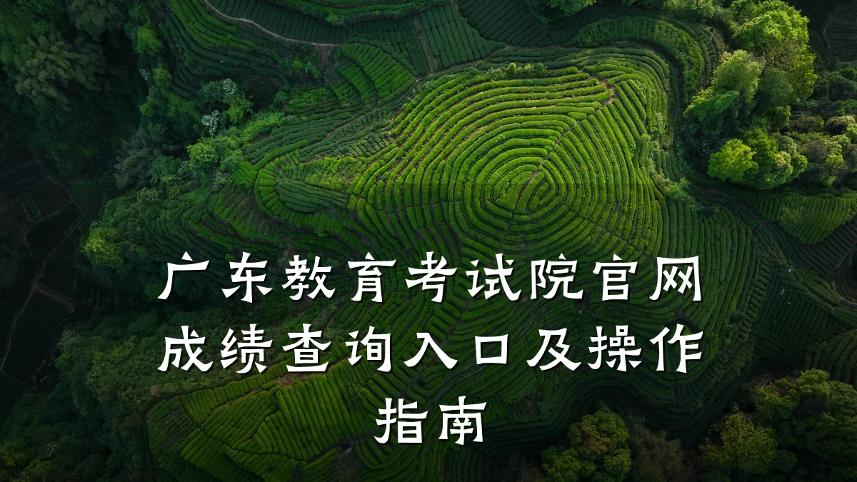 广东教育考试院官网成绩查询入口及操作指南