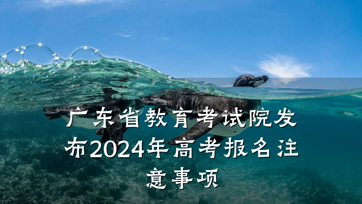 广东省教育考试院发布2024年高考报名注意事项