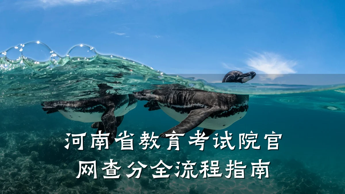 河南省教育考试院官网查分全流程指南