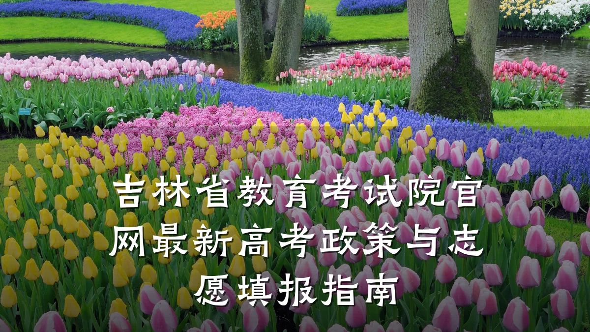 吉林省教育考试院官网最新高考政策与志愿填报指南