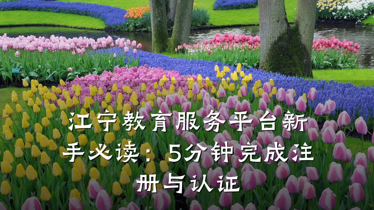 江宁教育服务平台新手必读：5分钟完成注册与认证