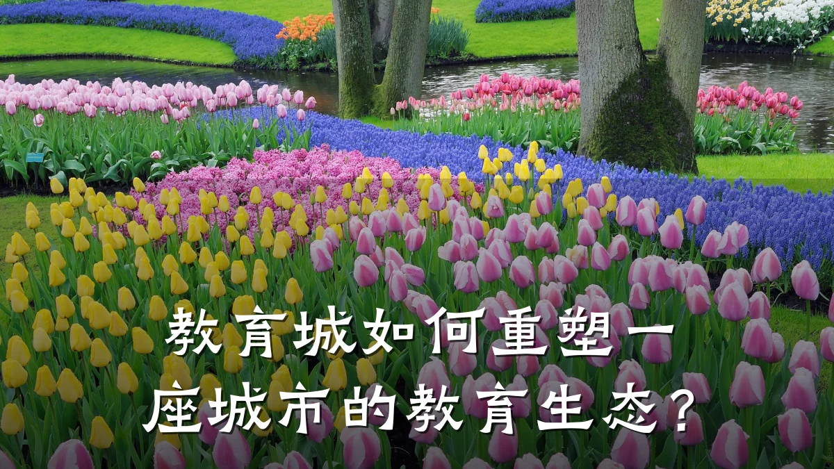 教育城如何重塑一座城市的教育生态？