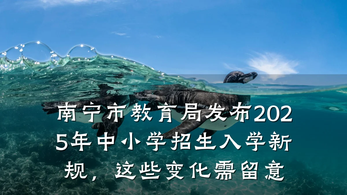 南宁市教育局发布2025年中小学招生入学新规，这些变化需留意