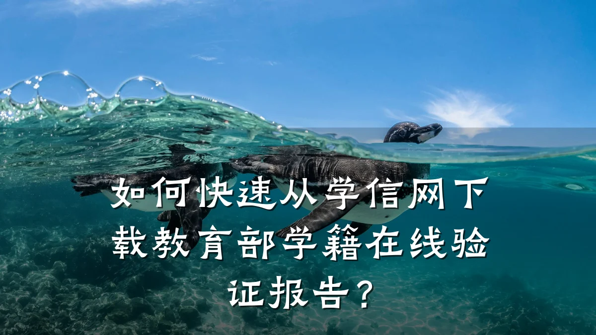 如何快速从学信网下载教育部学籍在线验证报告？