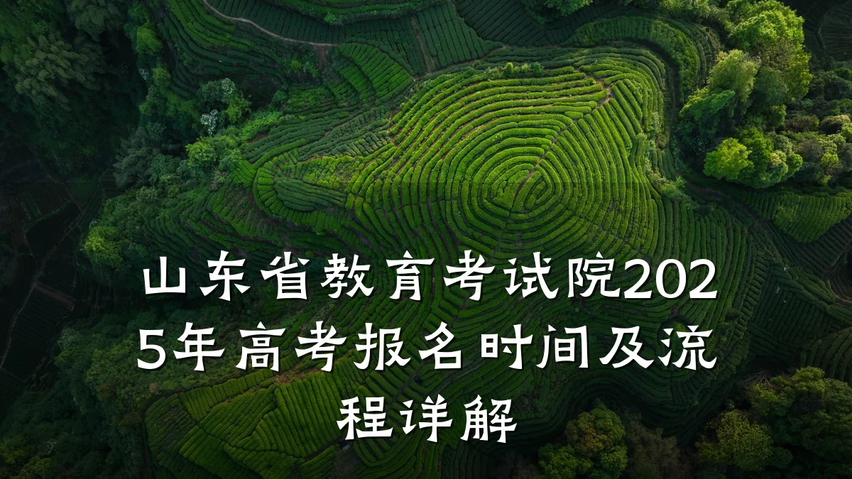 山东省教育考试院2025年高考报名时间及流程详解