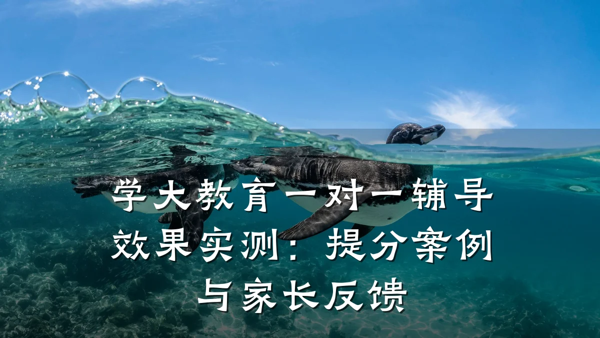 学大教育一对一辅导效果实测：提分案例与家长反馈