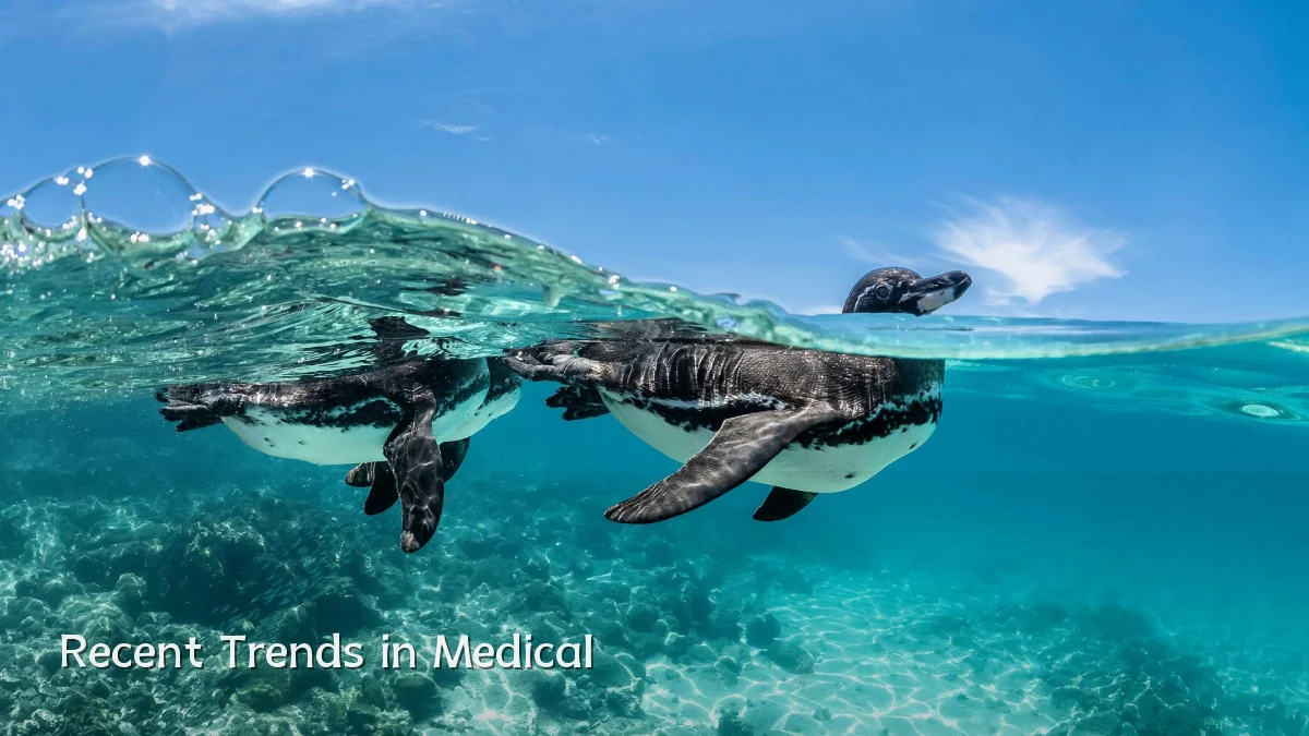 Recent Trends in Medical
