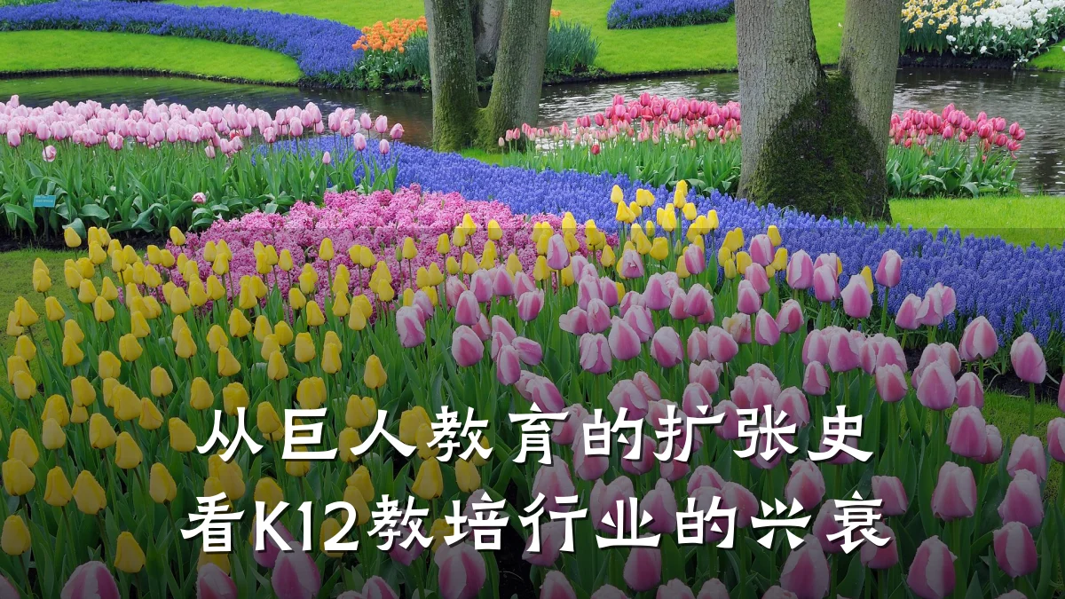 从巨人教育的扩张史看K12教培行业的兴衰