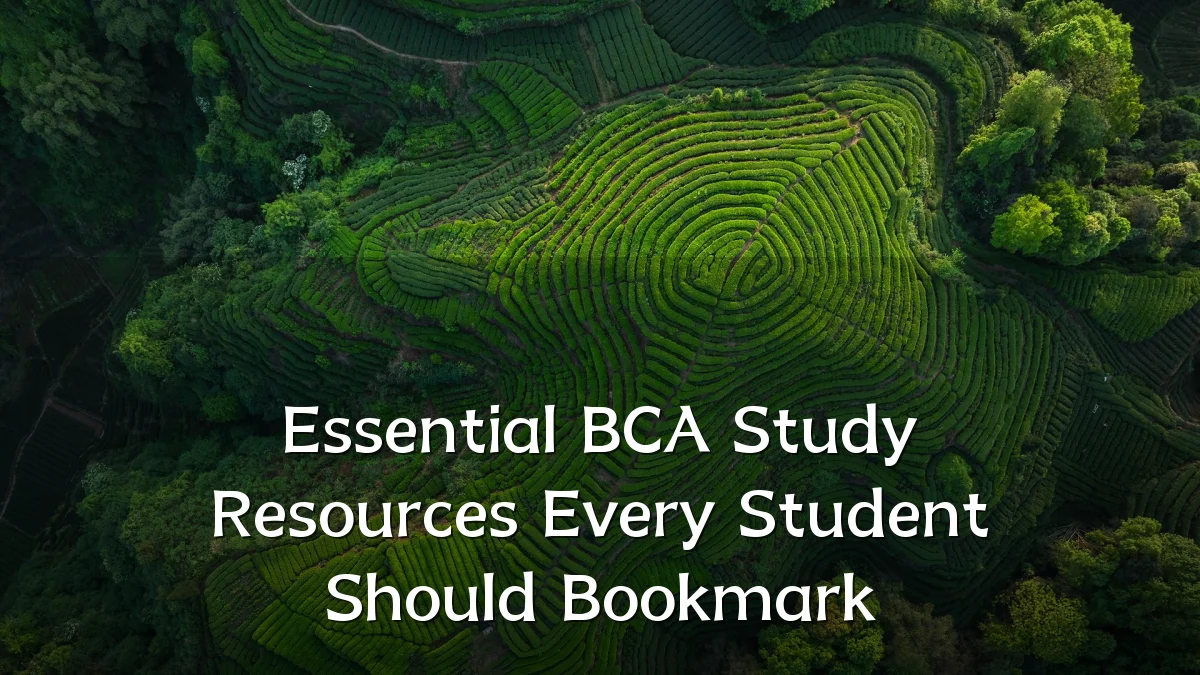 Essential BCA Study Resources Every Student Should Bookmark