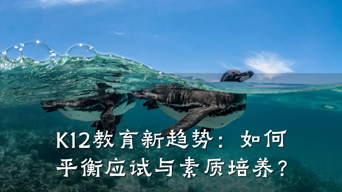 K12教育新趋势：如何平衡应试与素质培养？