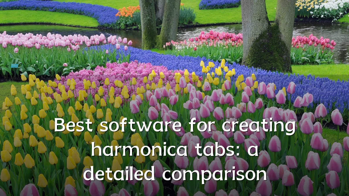 Best software for creating harmonica tabs: a detailed comparison