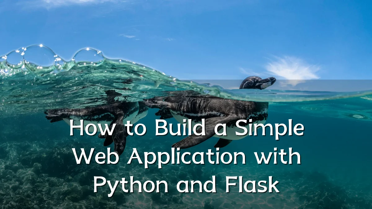 How to Build a Simple Web Application with Python and Flask