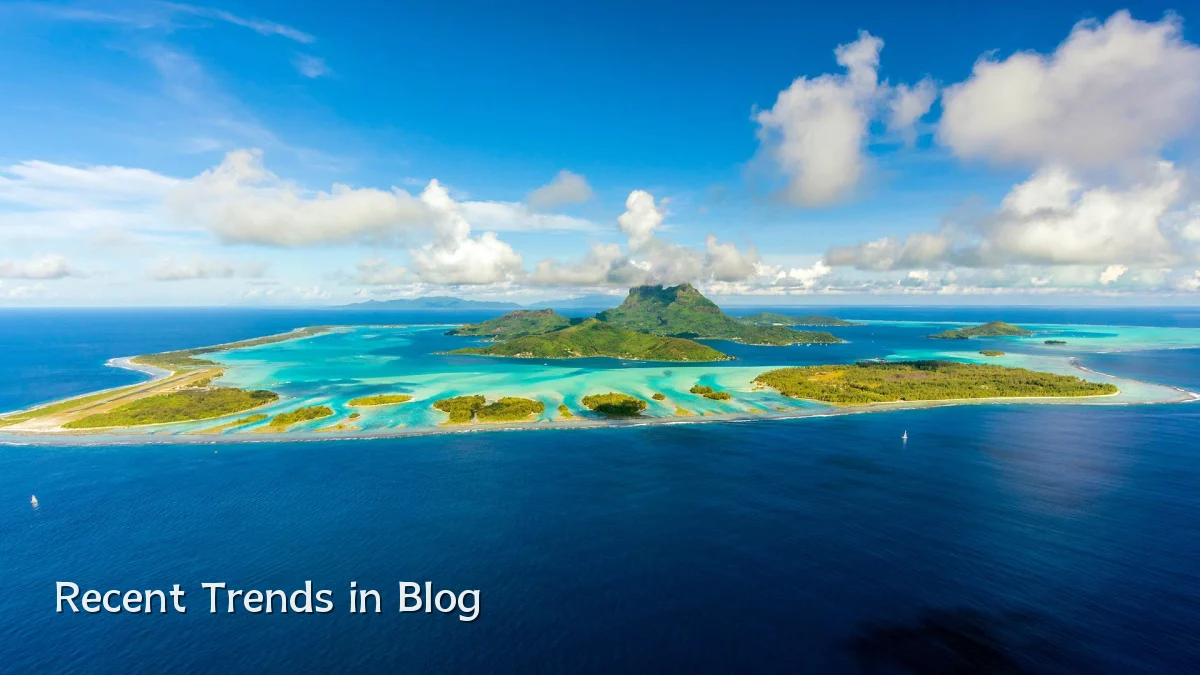 Recent Trends in Blog