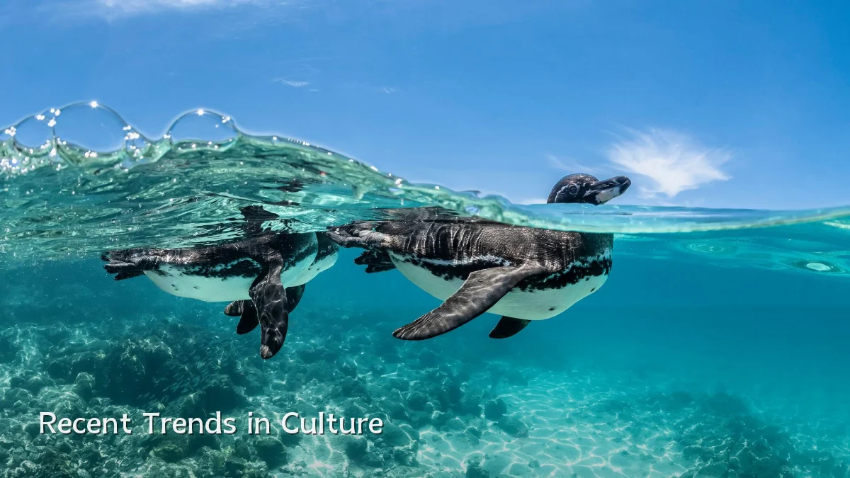 Recent Trends in Culture