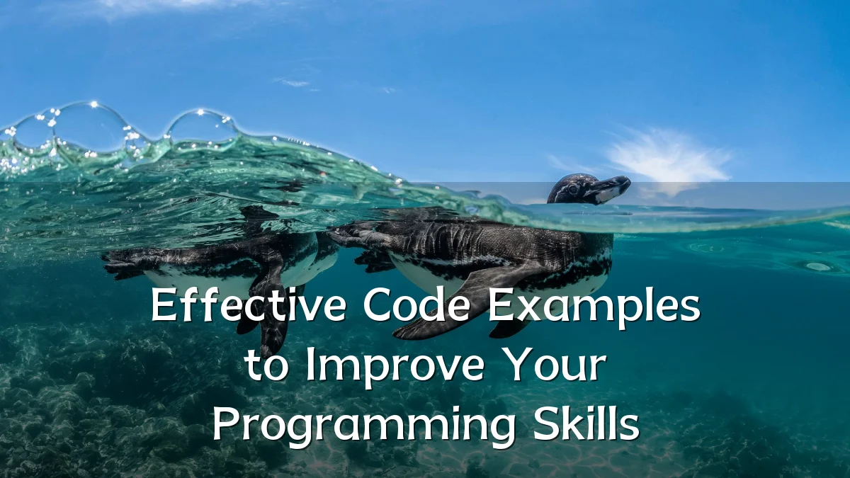 Effective Code Examples to Improve Your Programming Skills