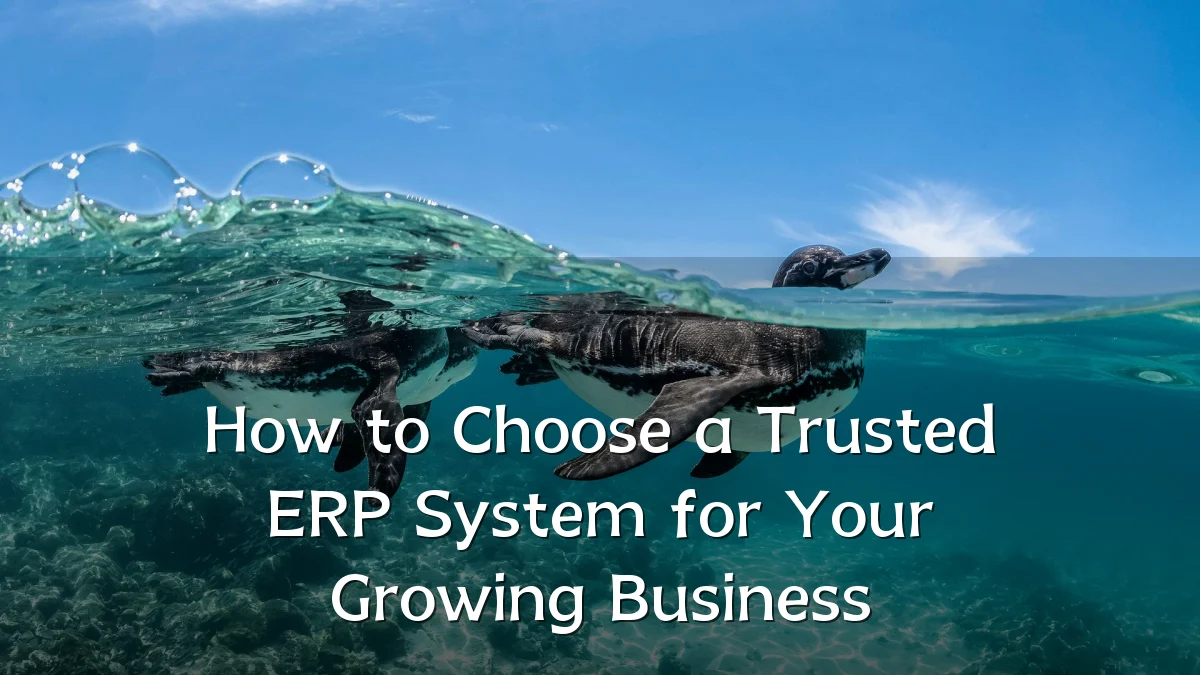How to Choose a Trusted ERP System for Your Growing Business