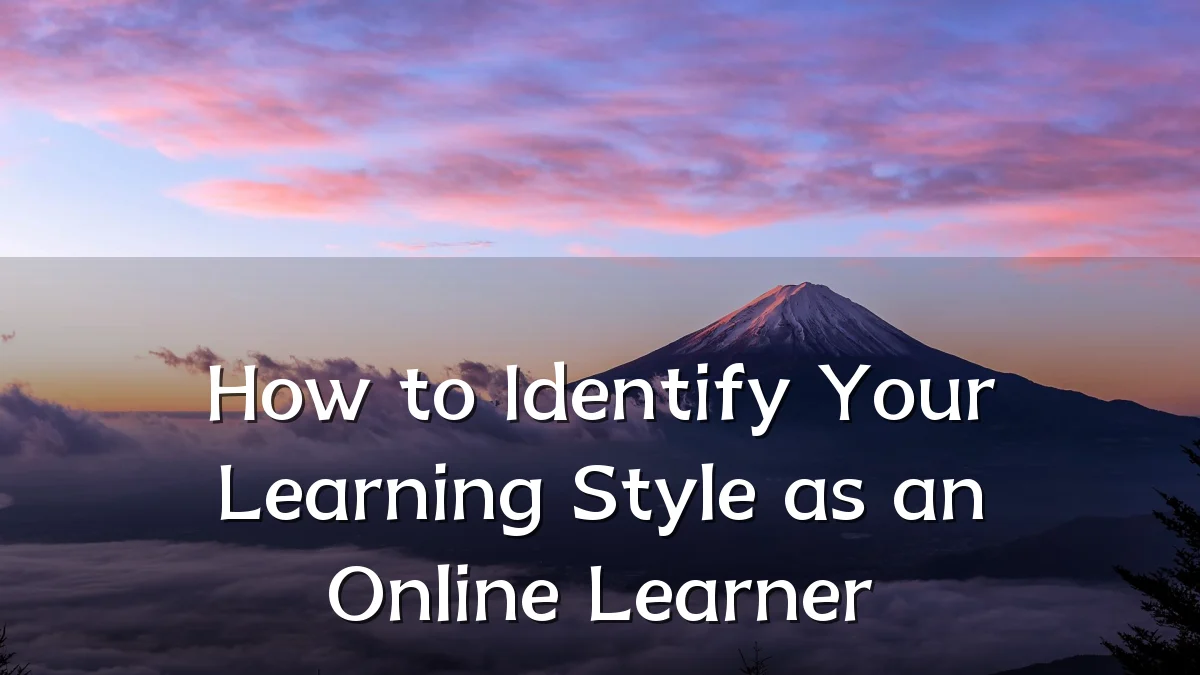 How to Identify Your Learning Style as an Online Learner