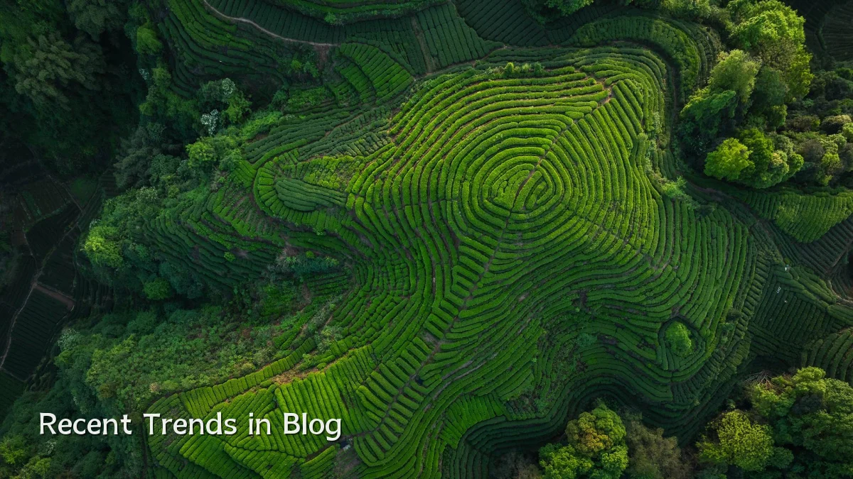 Recent Trends in Blog